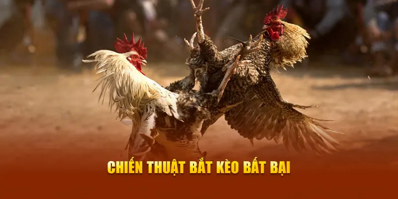 Chiến thuật bắt kèo bất bại